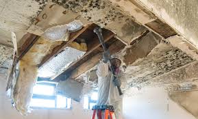 Best Environmental Consulting for Mold Prevention  in Ara, AL